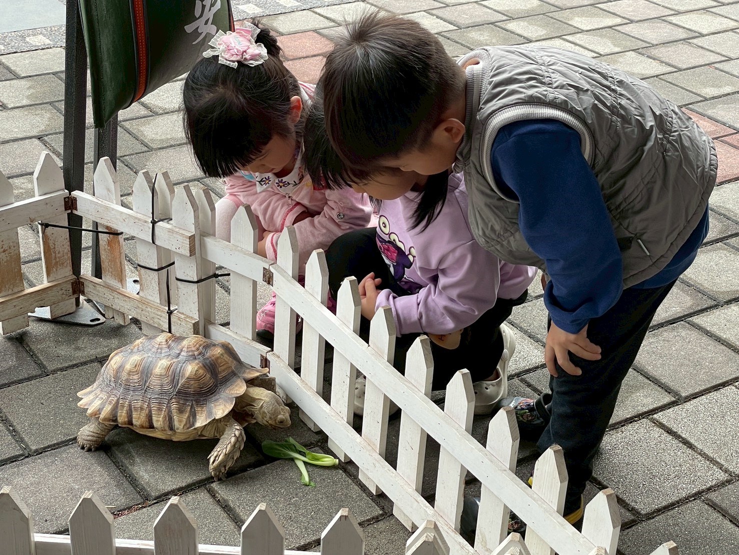 好客民宿嘉年華活動親子寵物攤位前小朋友開心餵食象龜(圖片提供：交通部觀光署)
