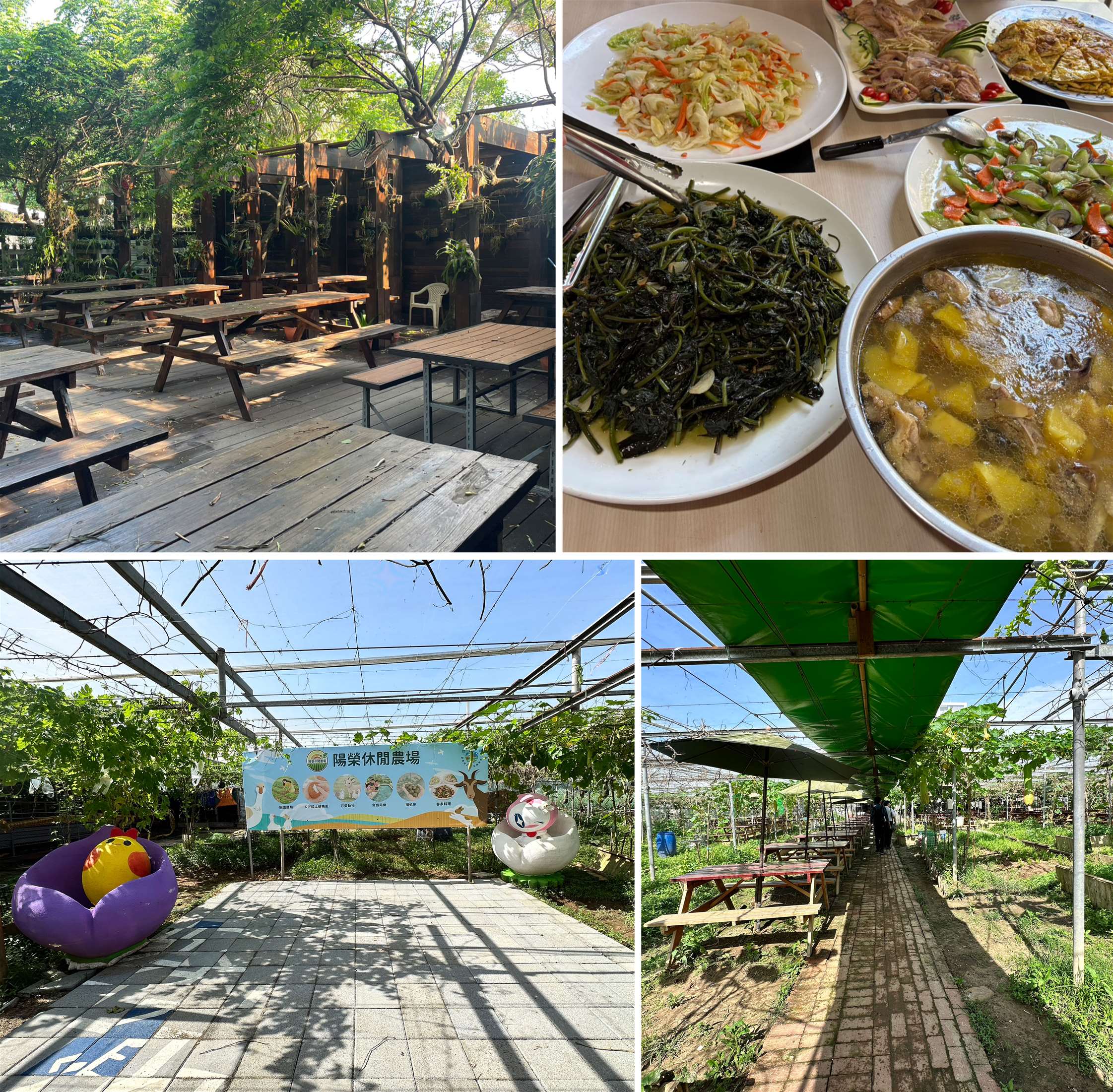 從產地到餐桌，一級棒農場及陽榮休閒農場是大園親子共遊最佳提案場所(圖片提供/桃園市政府觀光旅遊局)