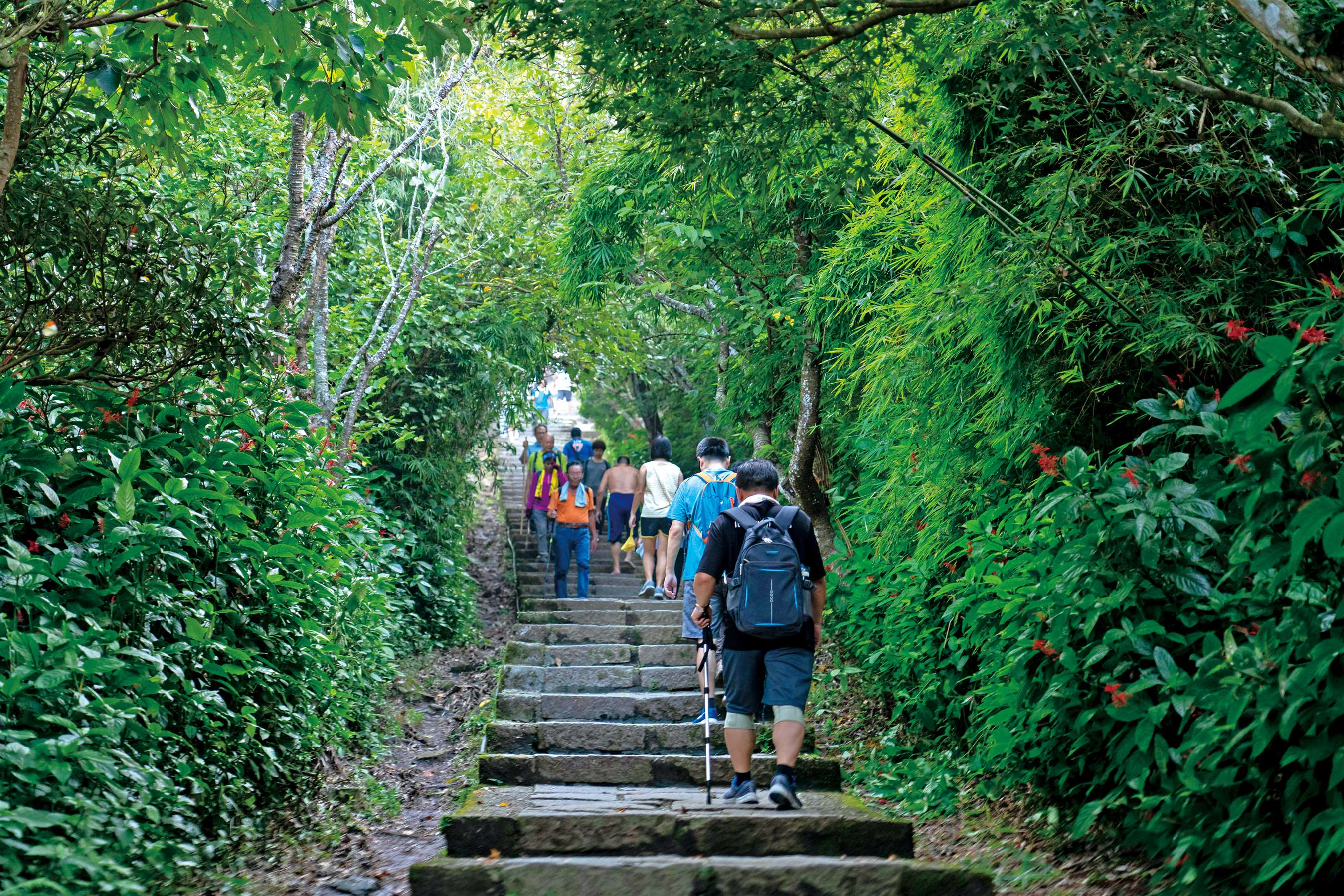 2026觀音觀鷹再觀櫻秋季登場 歡迎遊客走進觀音山感受自然生態之美